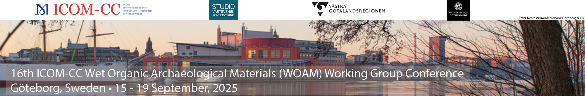 16th ICOM CC Wet Organic Archaeological Materials WOAM Working Group 16th ICOM CC Wet Organic Archaeological Materials WOAM Working Group